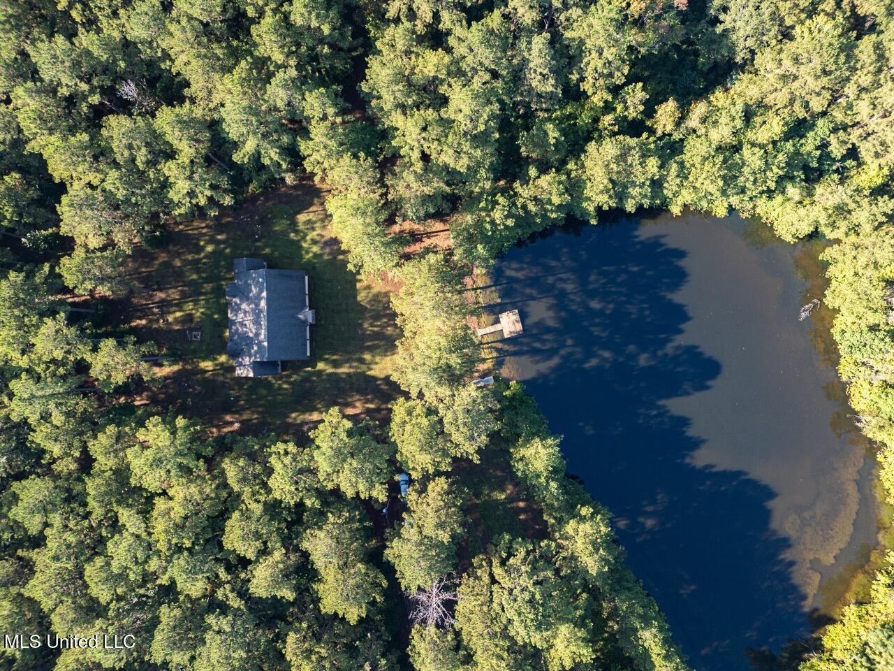 113 Acres Hunting Land with Home in Amite County, MS