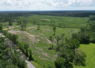 Land for Sale in Amite County, MS