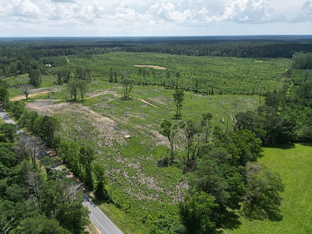 Land for Sale in Amite County, MS