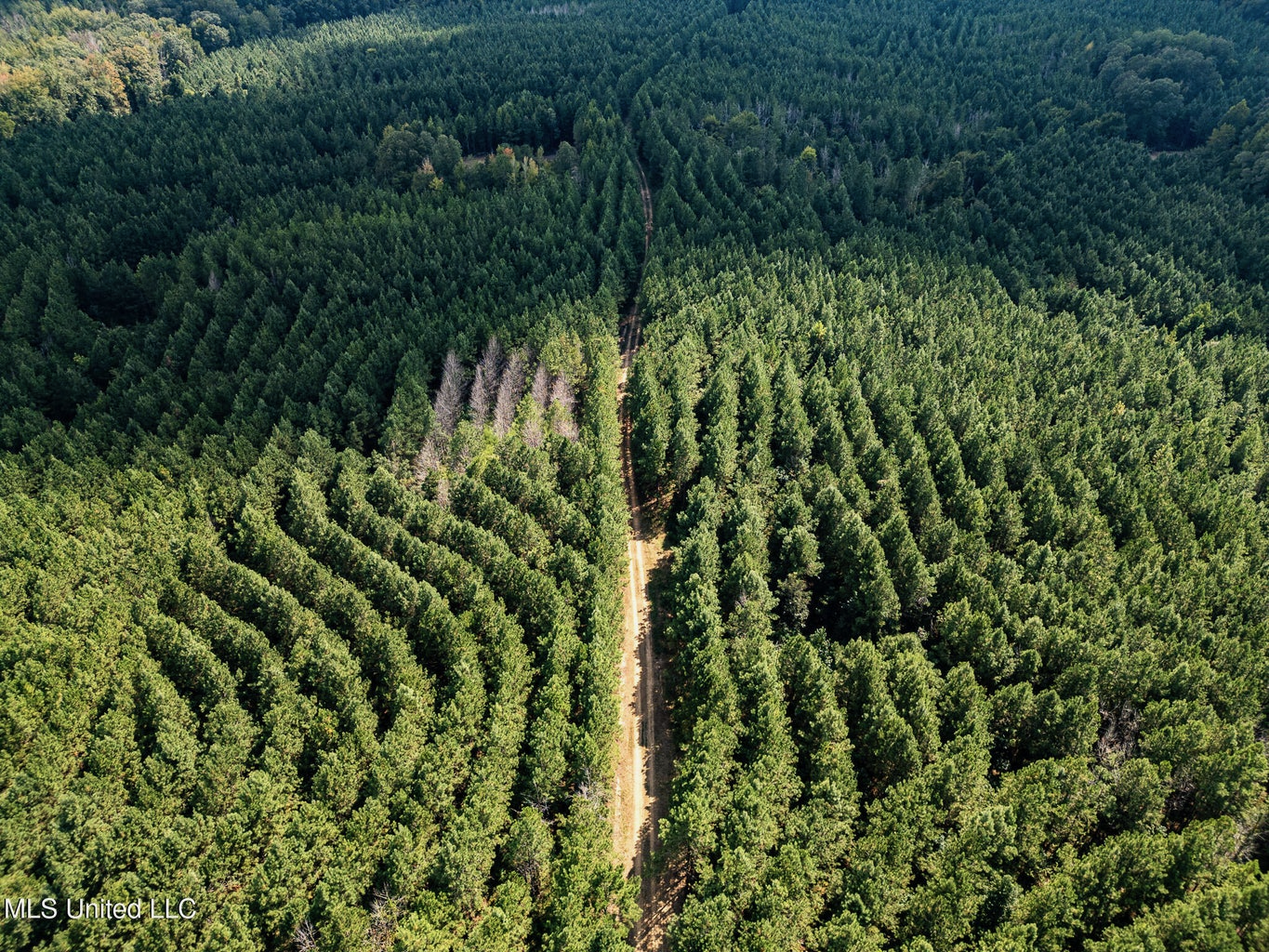 302 Acres in Hermanville, Claiborne County, MS Land