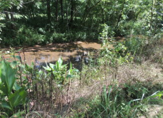 DEER HUNTING PROPERTY FOR SALE IN TN
