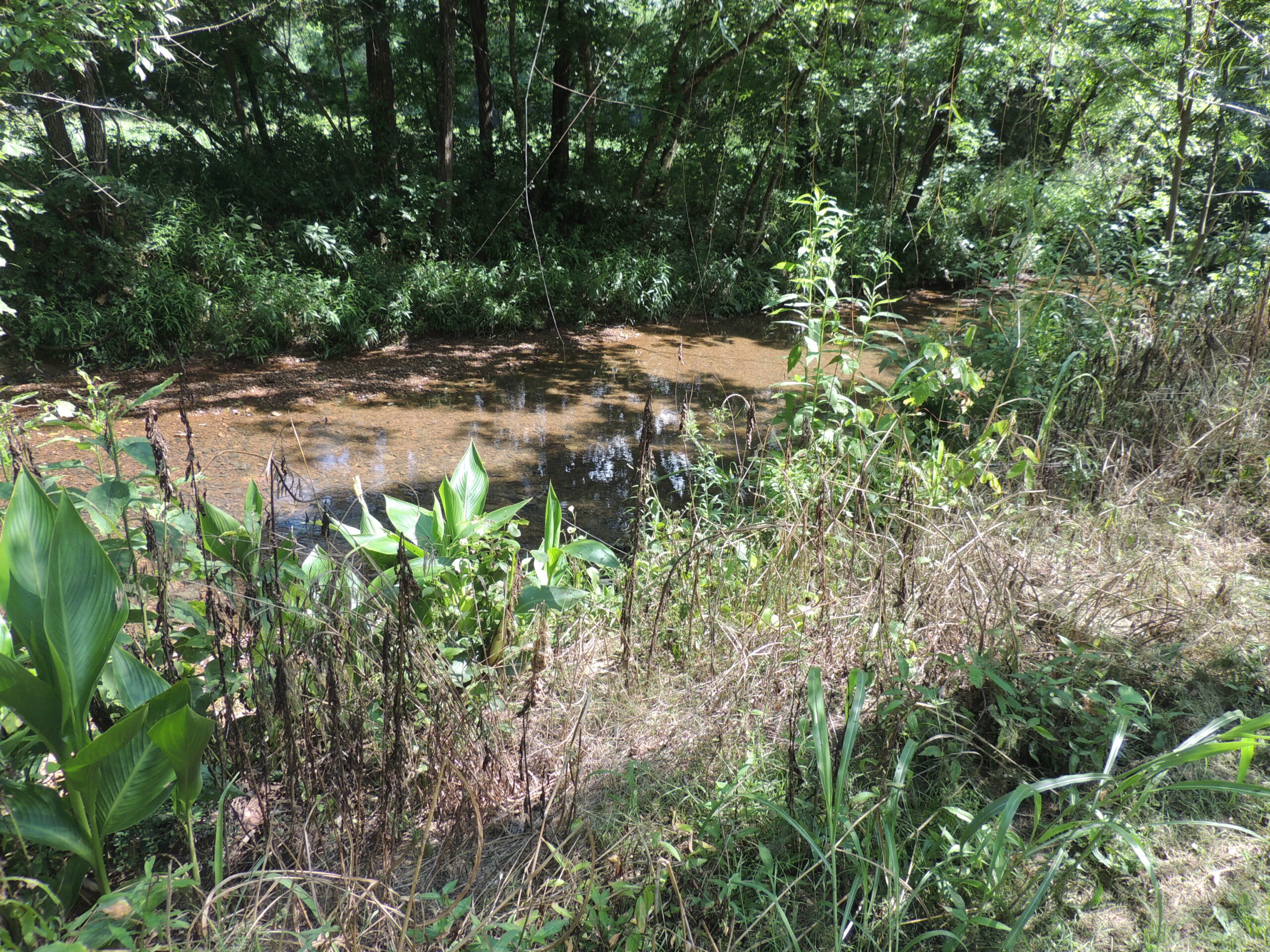 DEER HUNTING PROPERTY FOR SALE IN TN