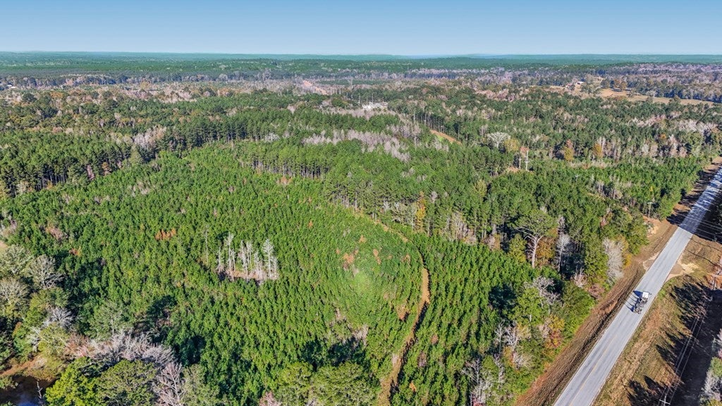 Gloster 38 – Hunting Land in Amite County, Mississippi