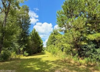 Magnolia MS 18.19 Acres with Mobile Home & Hunting Land