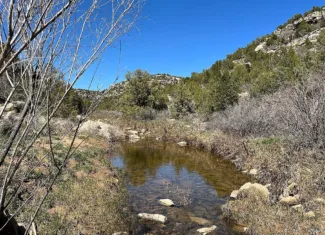 ATTENTION COLORADO AND UTAH HUNTERS!!!