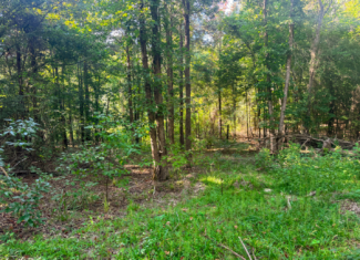 34.50 Acres Residential Land for Sale NE Lincoln Parish