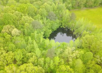 WOODED LAND FOR SALE IN TN, HUNTING LAND, LAND TO BUILD ON IN MCNAIRY COUNTY