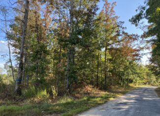 LAND FOR SALE IN TN, 25 AC+/-, HUNTING, WOODED LAND, CREEK