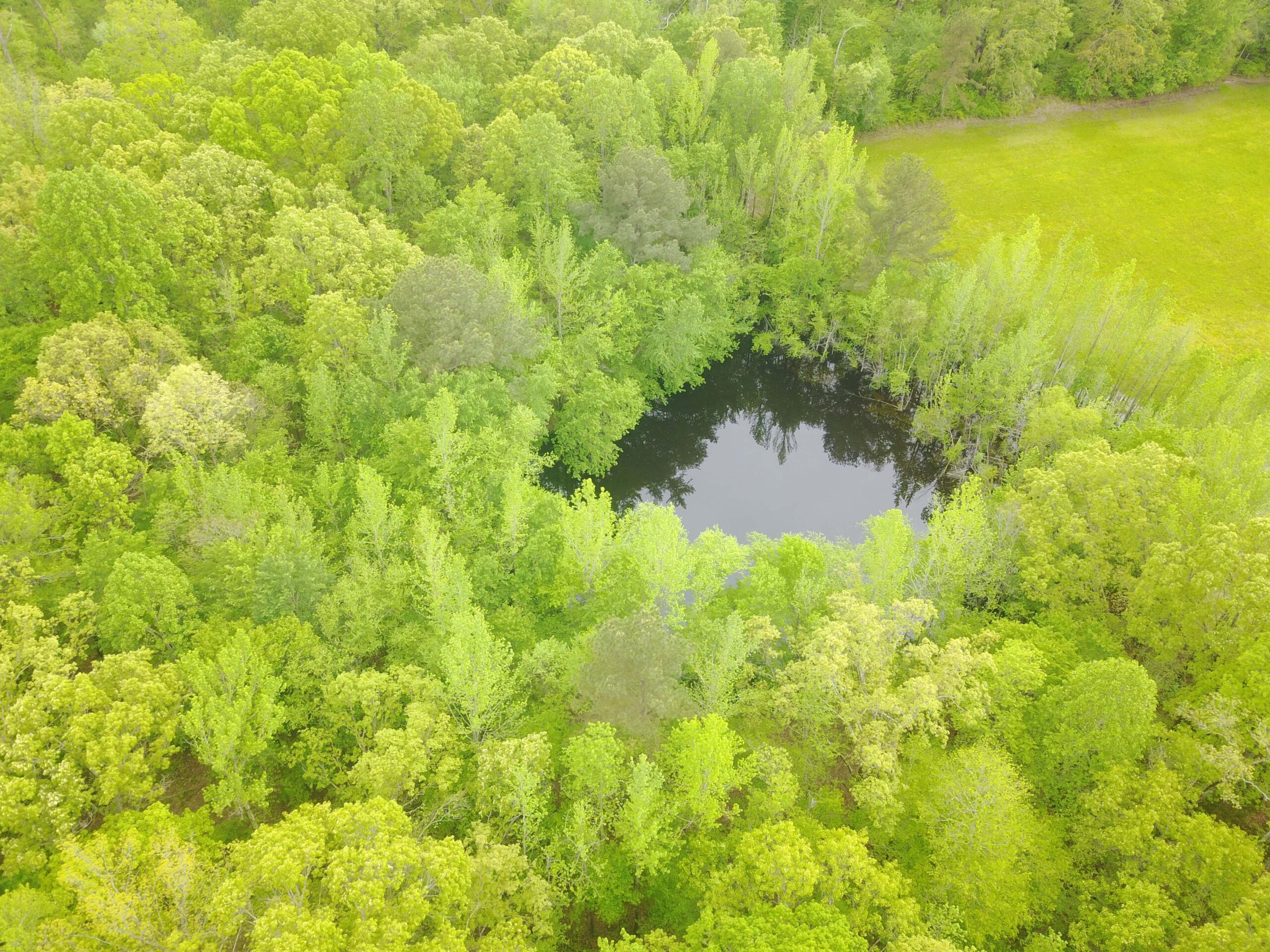 WOODED LAND FOR SALE IN TN, HUNTING LAND, LAND TO BUILD ON IN MCNAIRY COUNTY