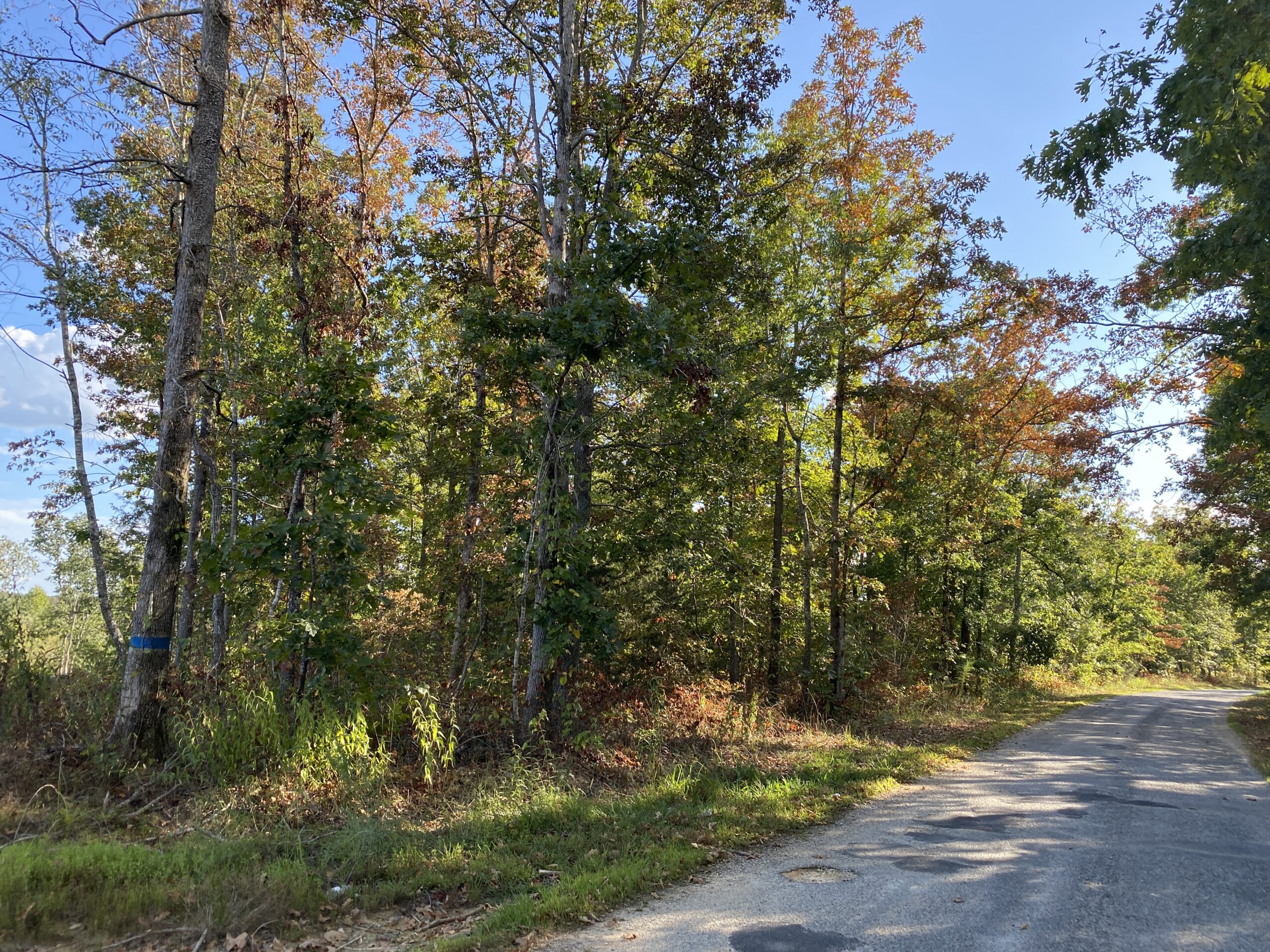 LAND FOR SALE IN TN, 25 AC+/-, HUNTING, WOODED LAND, CREEK