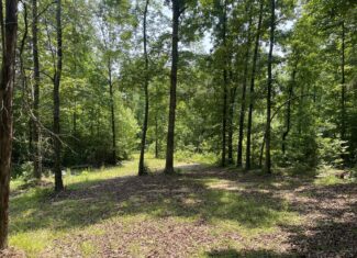 UNRESTRICTED LAND NEAR RIVER – DEER & TURKEY HUNTING
