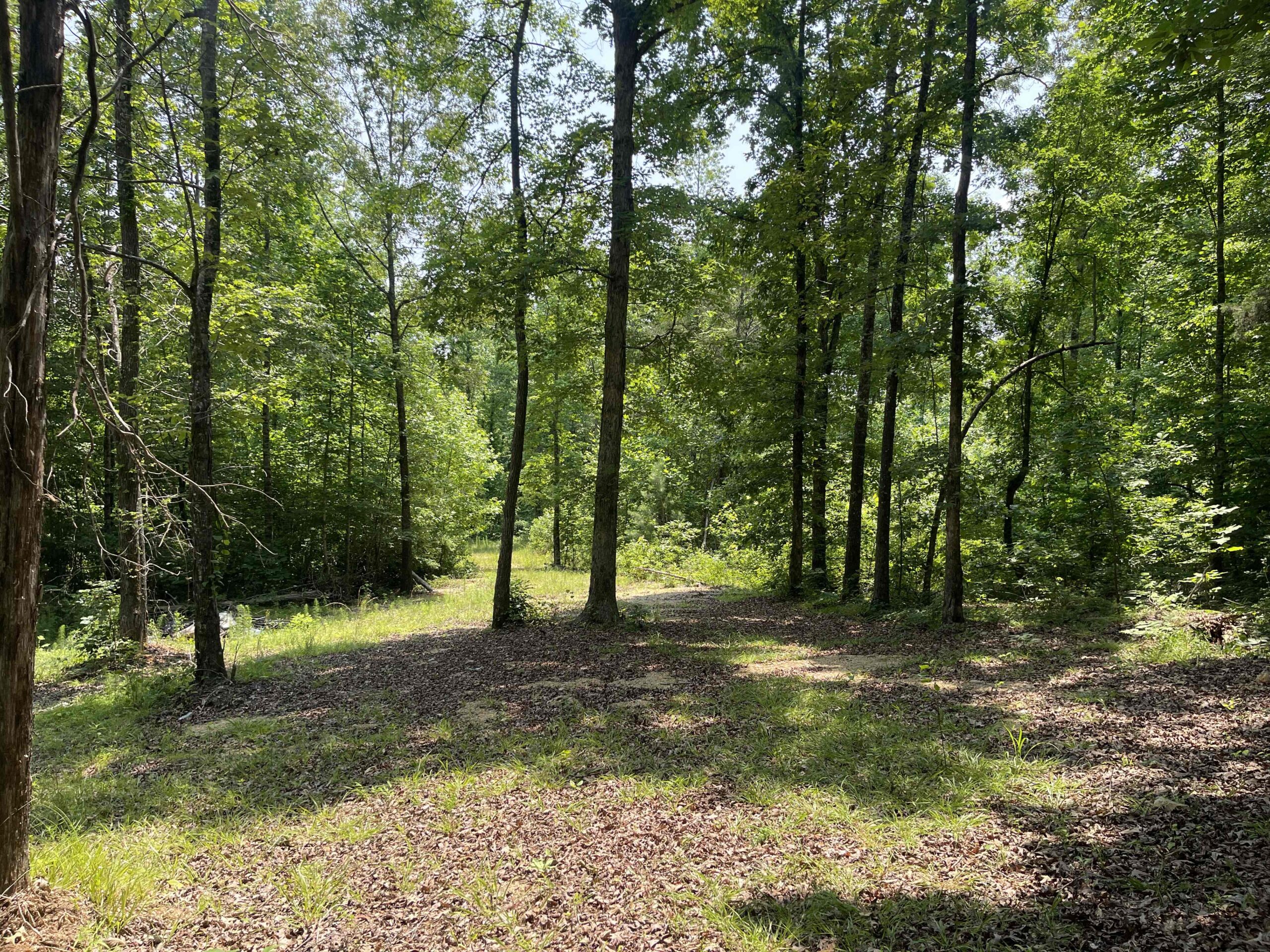 UNRESTRICTED LAND NEAR RIVER – DEER & TURKEY HUNTING