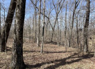 LAND FOR SALE IN HARDIN COUNTY TN, 11 ACRES