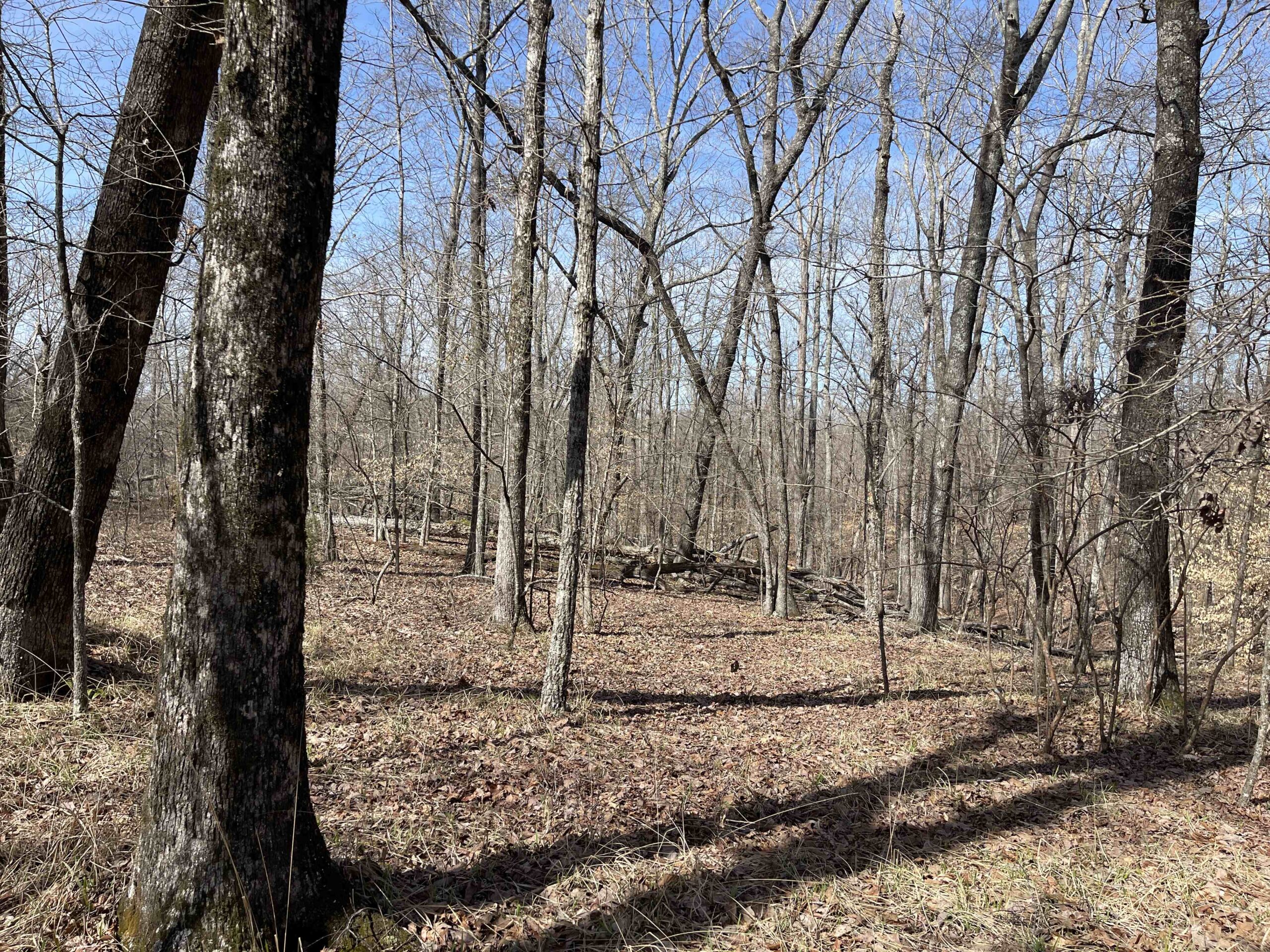 LAND FOR SALE IN HARDIN COUNTY TN, 11 ACRES