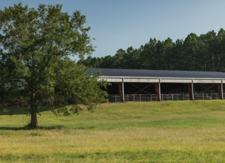 Golden Pines Ranch 235 Recreational Acres in Stone County MS