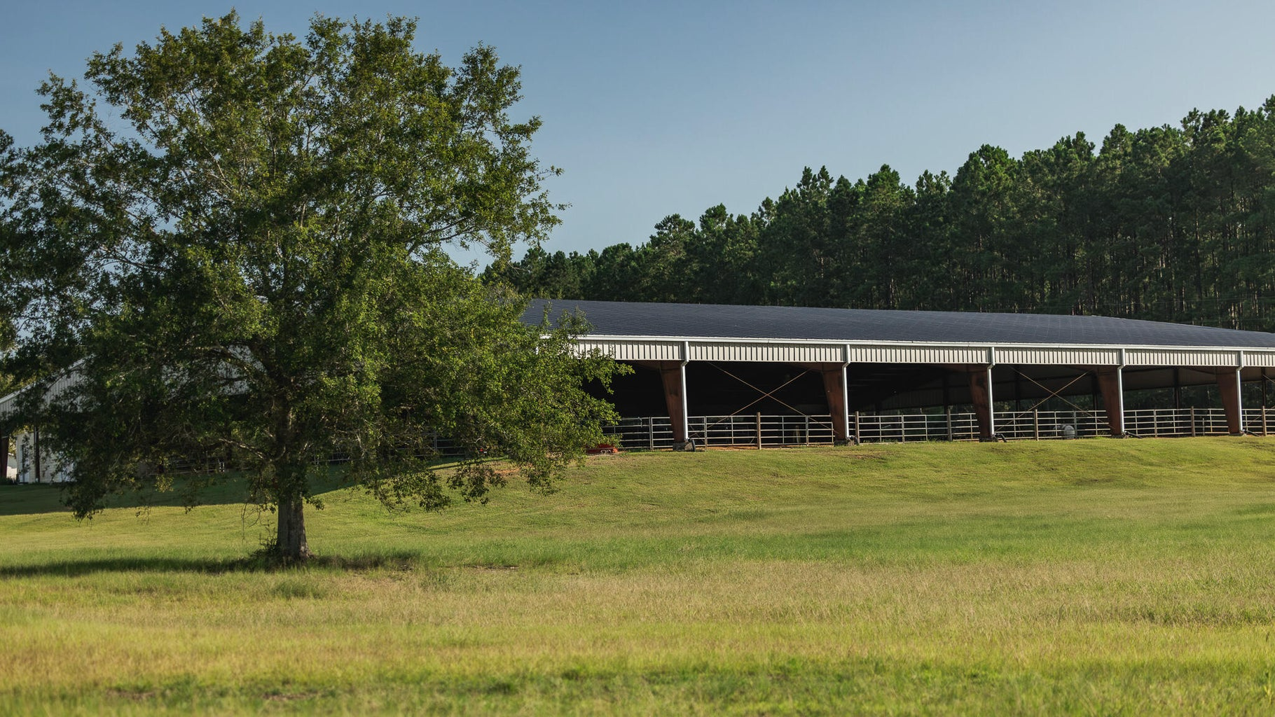 Golden Pines Ranch 235 Recreational Acres in Stone County MS