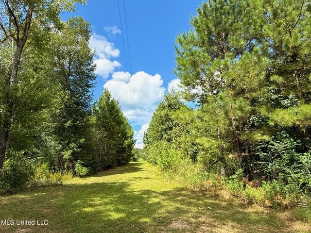 Magnolia MS 18.19 Acres with Mobile Home & Hunting Land