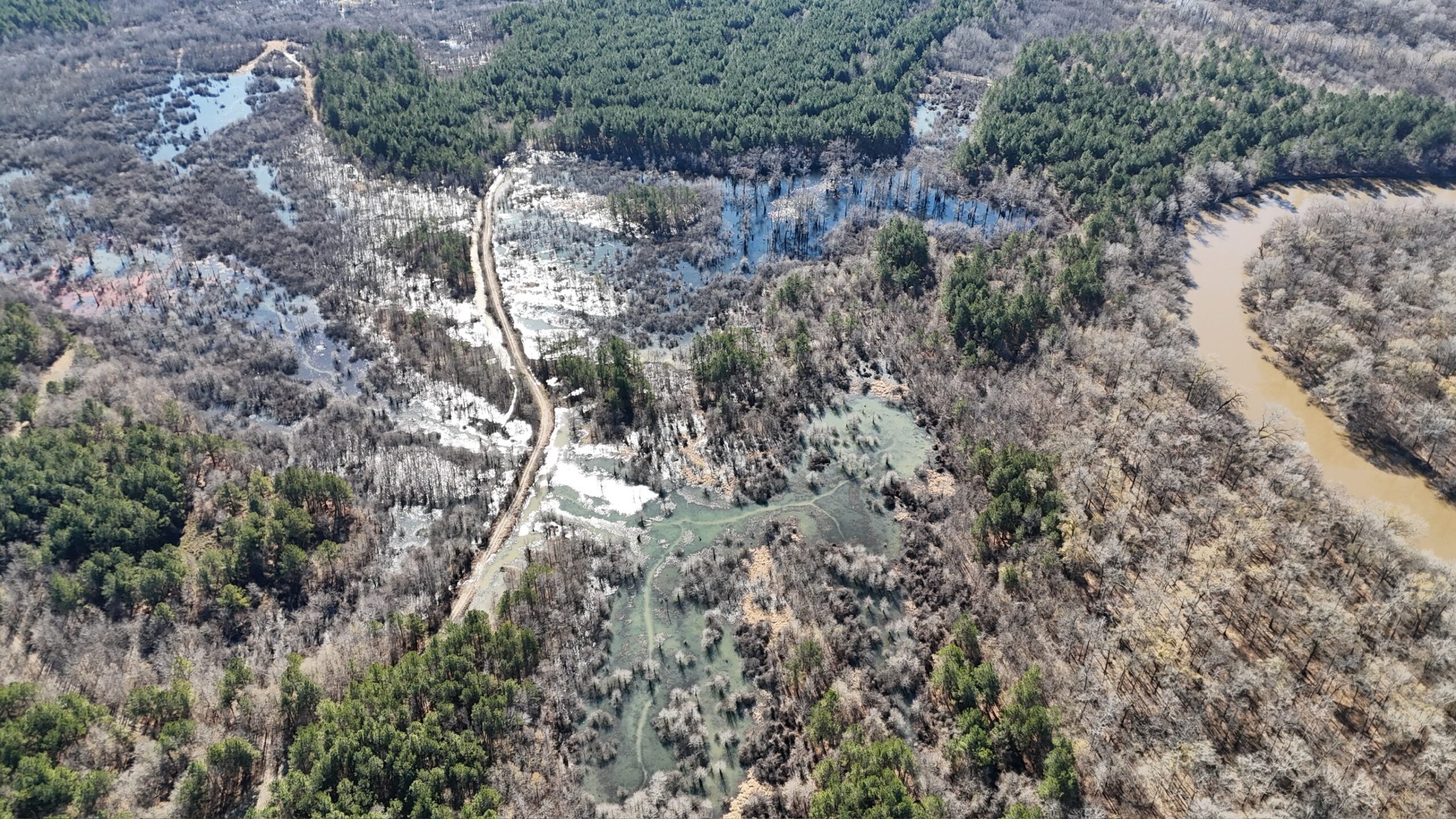 Duck, Deer, and Fishing Land for Sale on Little River