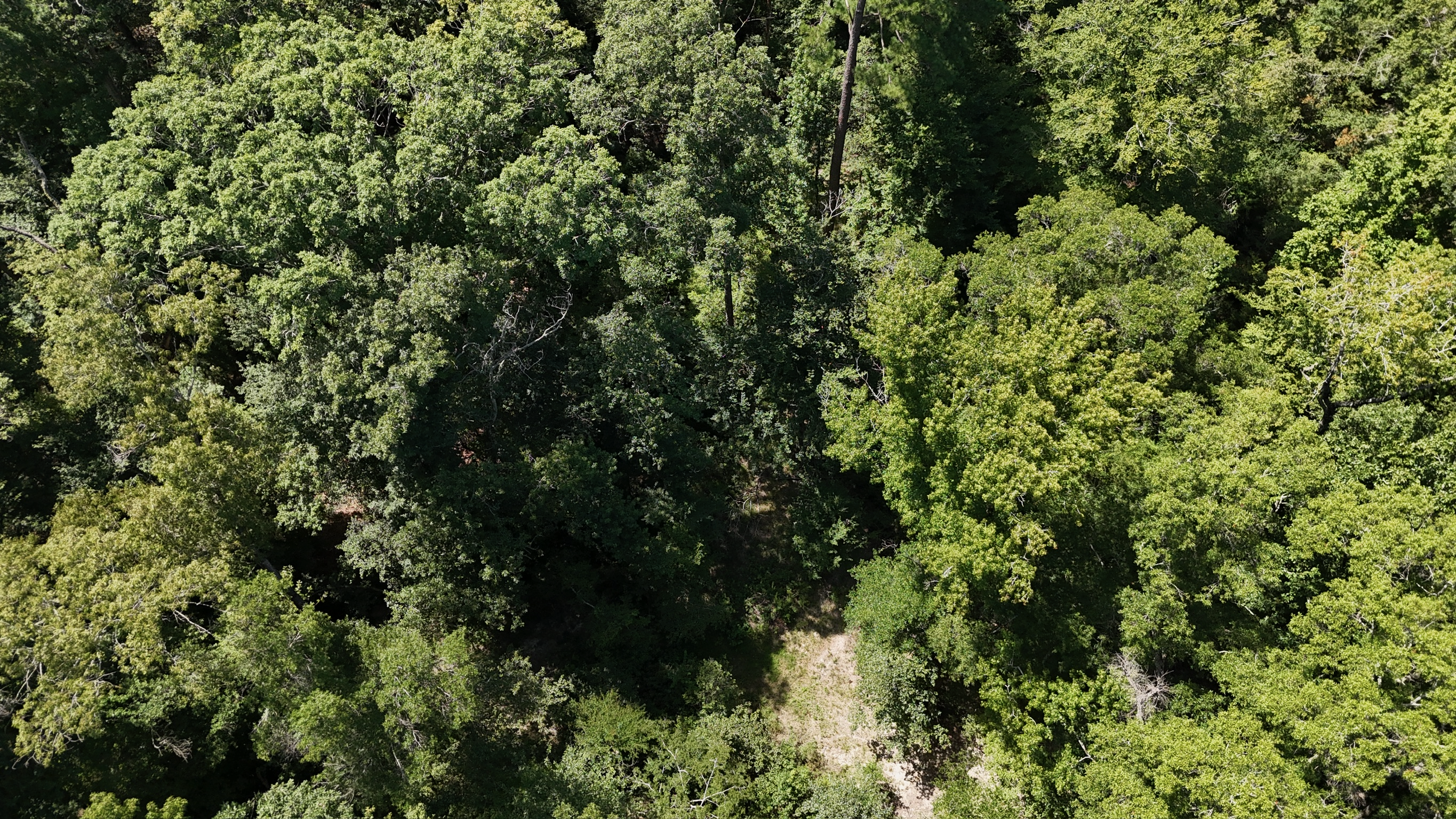 Hunting Property and Homesite in Jackson Parish LA