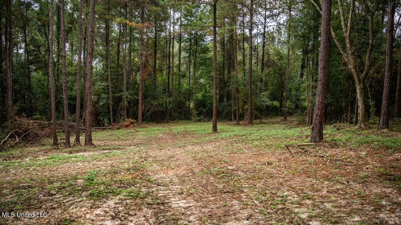 Ramsey Creek 67 Acres for Sale in Centreville, MS