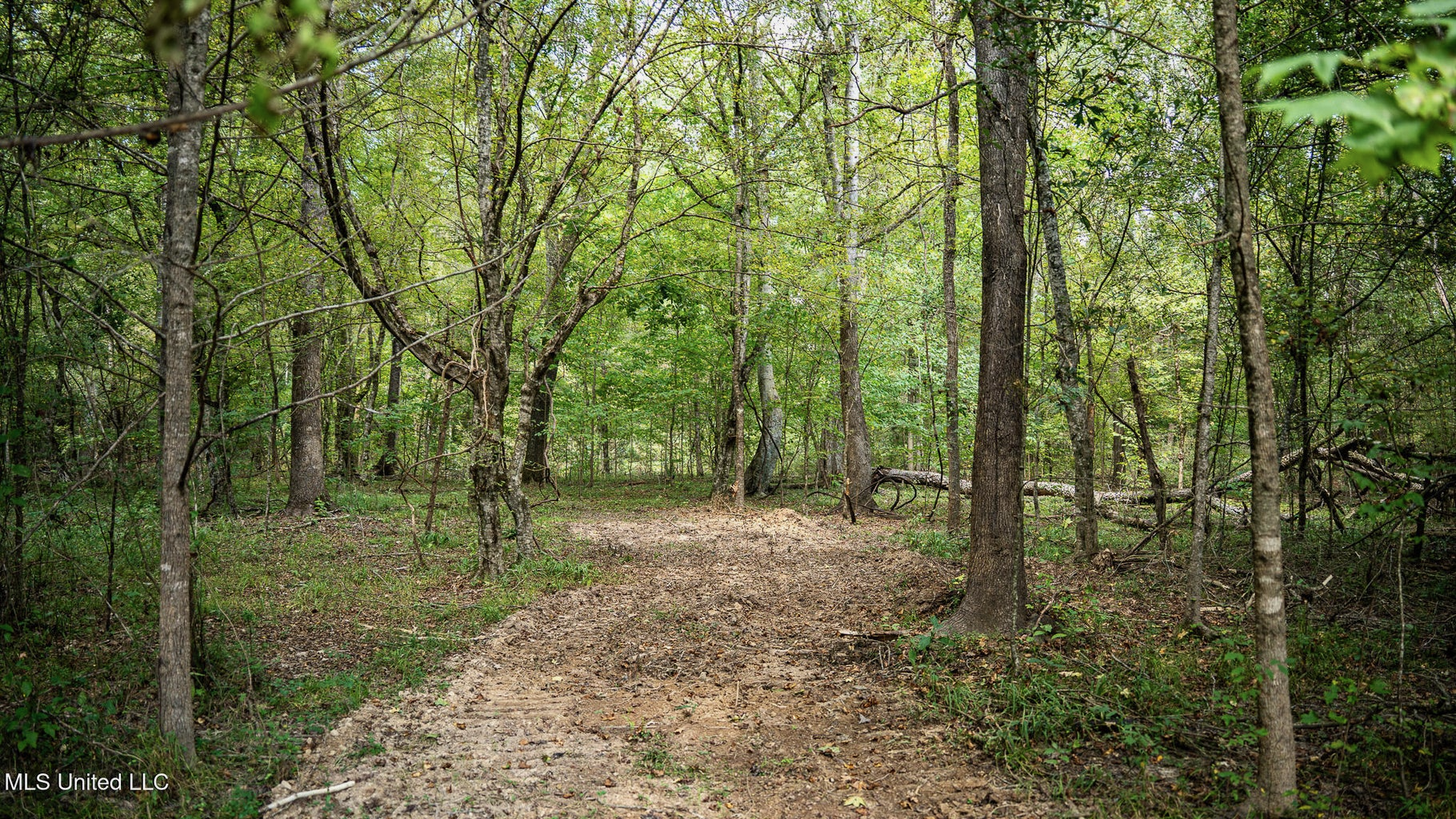 302 Acres in Hermanville, Claiborne County, MS Land