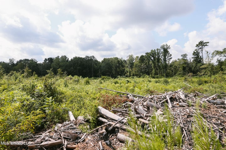 Land for Sale in Lincoln County, MS