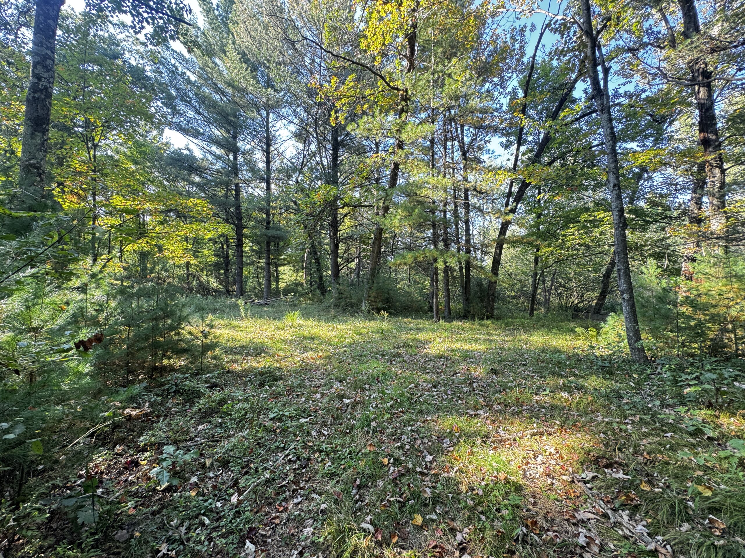 40 acres just north of Wisconsin Dells with abundant deer & turkey habitat