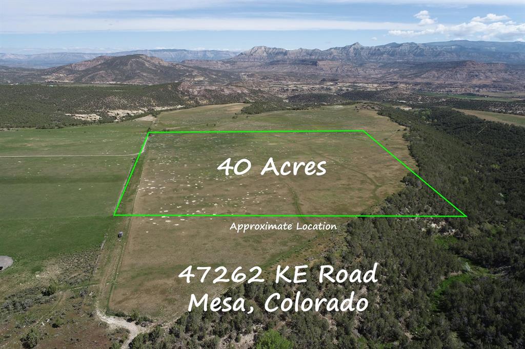 40 Acres For Sale At The Base Of The Grand Mesa In Western Colorado