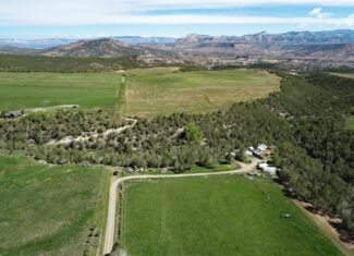 40 Acres For Sale At The Base Of The Grand Mesa In Western Colorado