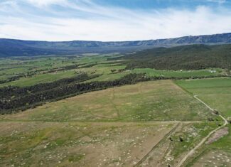 40 Acres For Sale At The Base Of The Grand Mesa In Western Colorado