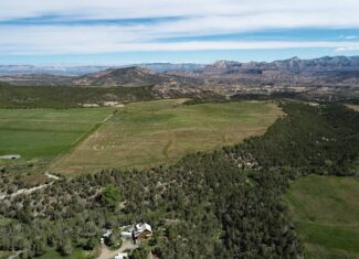 40 Acres For Sale At The Base Of The Grand Mesa In Western Colorado