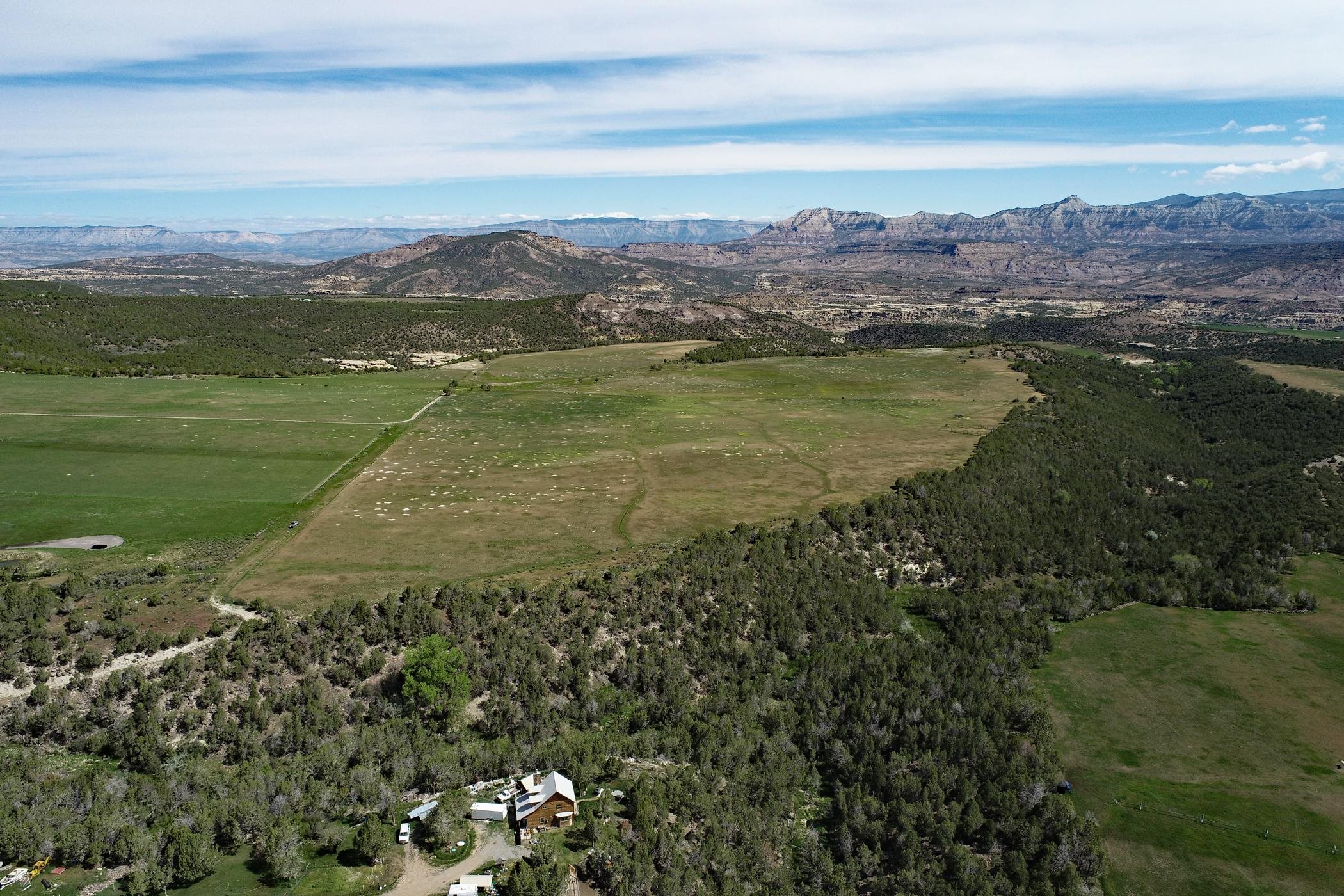 40 Acres For Sale At The Base Of The Grand Mesa In Western Colorado