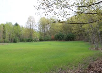 Prime 250 Acres of Hunting Land for Sale in Atlanta, MI