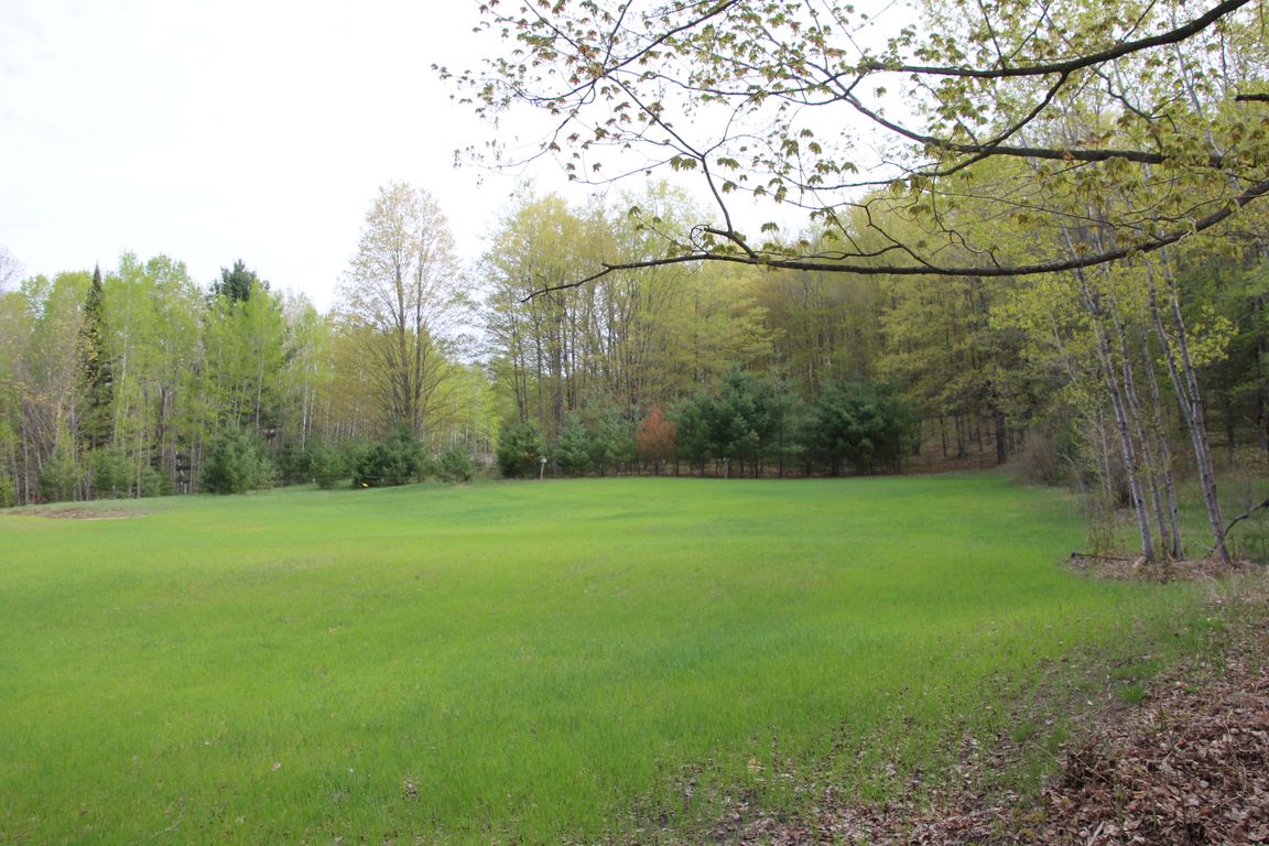 Prime 250 Acres of Hunting Land for Sale in Atlanta, MI