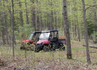 Prime 250 Acres of Hunting Land for Sale in Atlanta, MI