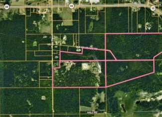 Prime 250 Acres of Hunting Land for Sale in Atlanta, MI