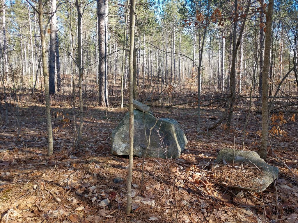 Prime 250 Acres of Hunting Land for Sale in Atlanta, MI