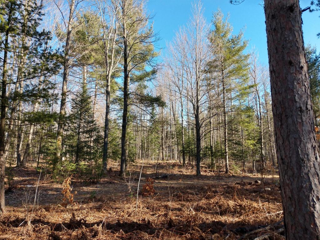 Prime 250 Acres of Hunting Land for Sale in Atlanta, MI