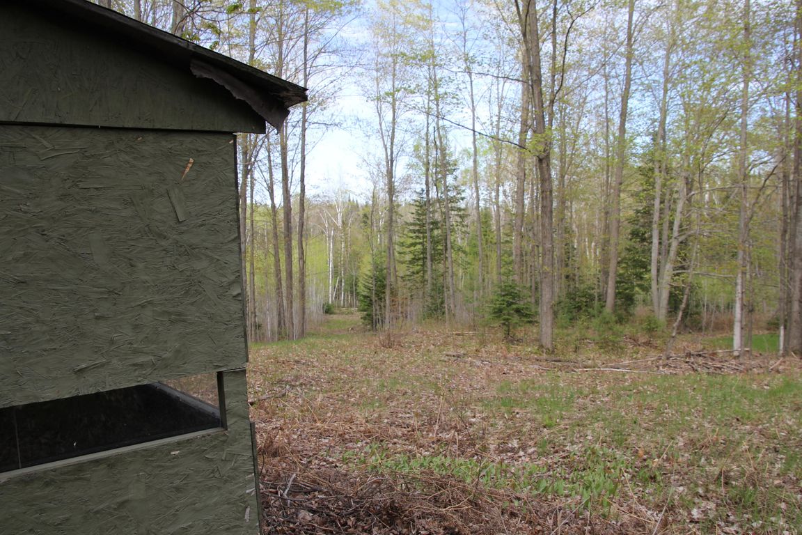 Prime 250 Acres of Hunting Land for Sale in Atlanta, MI