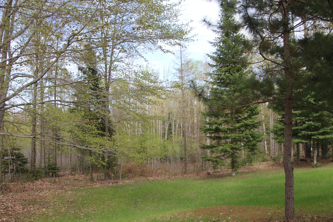 Prime 250 Acres of Hunting Land for Sale in Atlanta, MI