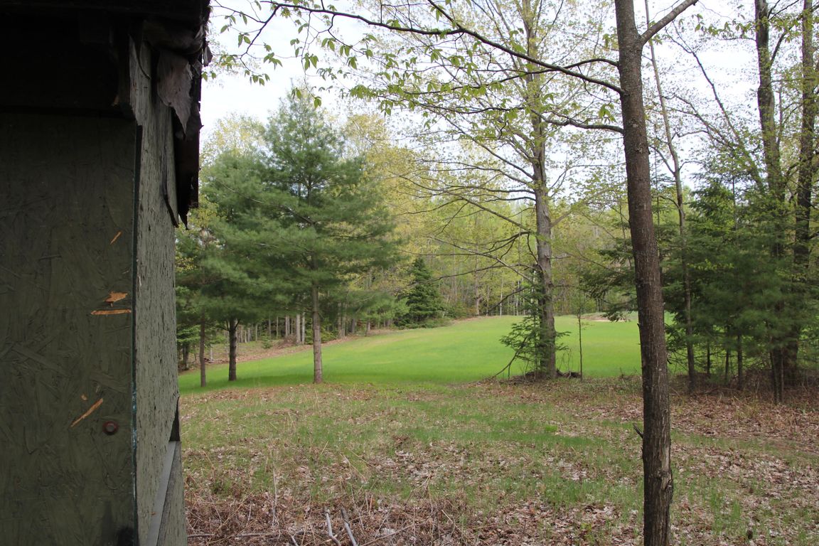 Prime 250 Acres of Hunting Land for Sale in Atlanta, MI
