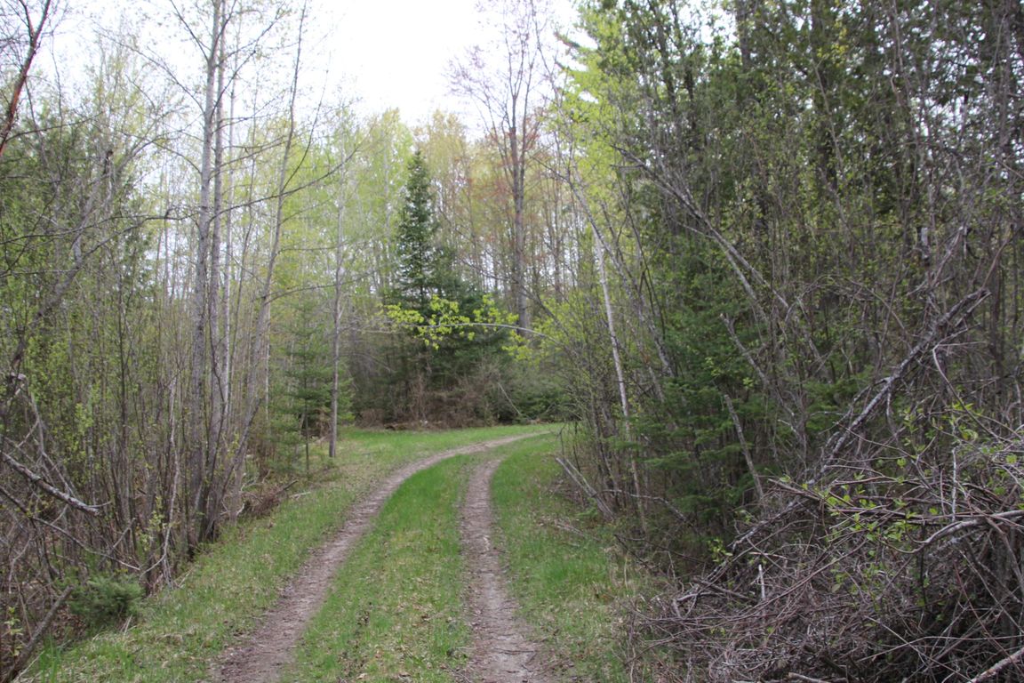 Prime 250 Acres of Hunting Land for Sale in Atlanta, MI