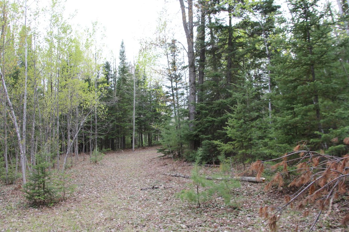 Prime 250 Acres of Hunting Land for Sale in Atlanta, MI