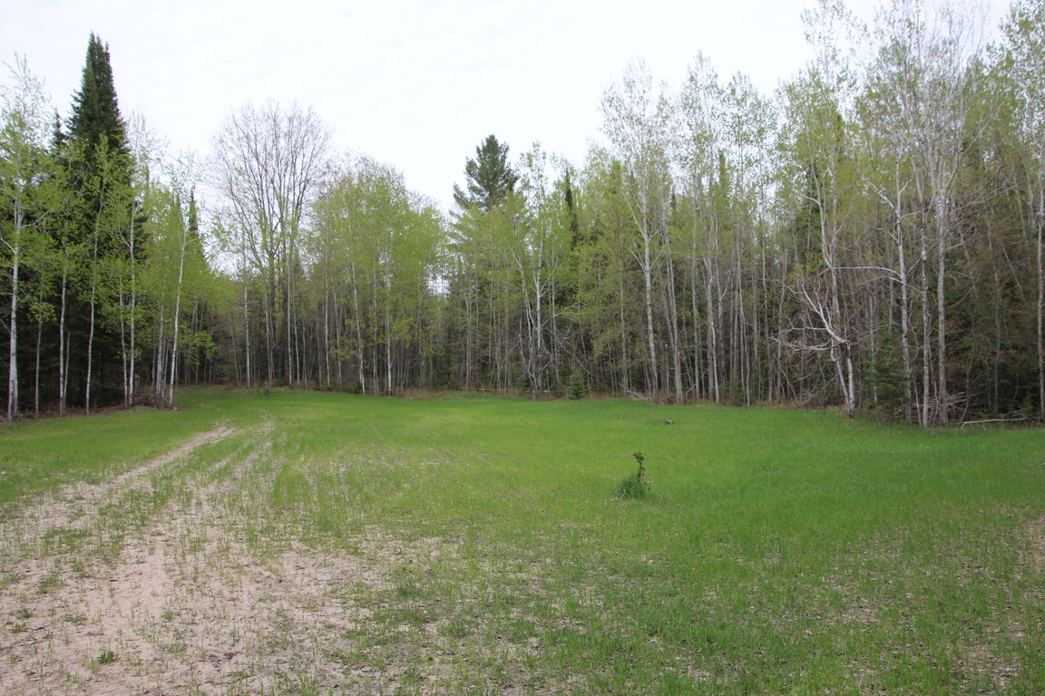 Prime 250 Acres of Hunting Land for Sale in Atlanta, MI