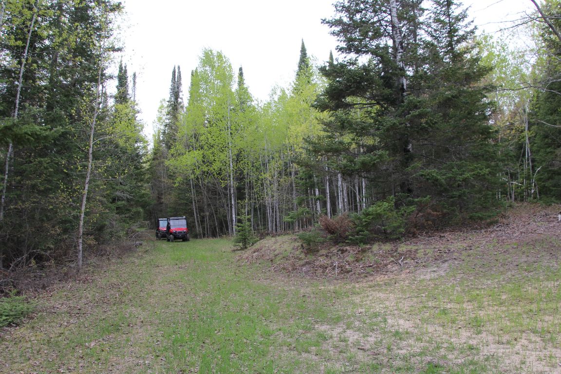 Prime 250 Acres of Hunting Land for Sale in Atlanta, MI