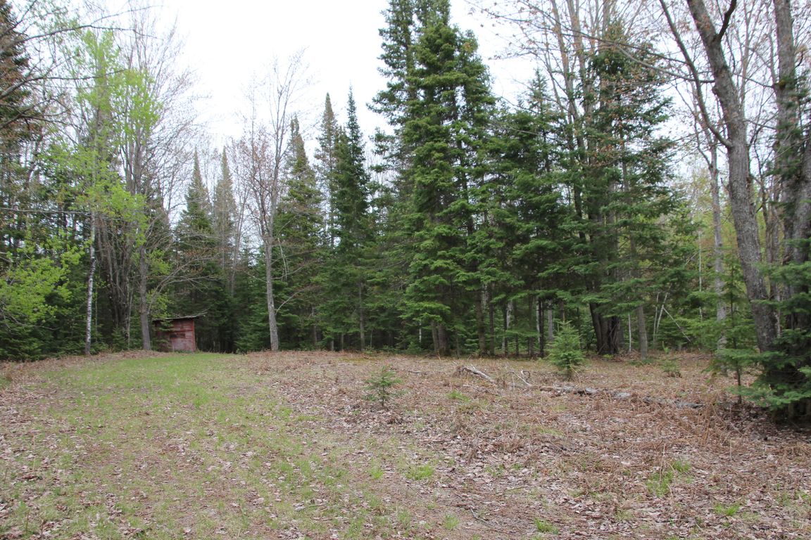 Prime 250 Acres of Hunting Land for Sale in Atlanta, MI