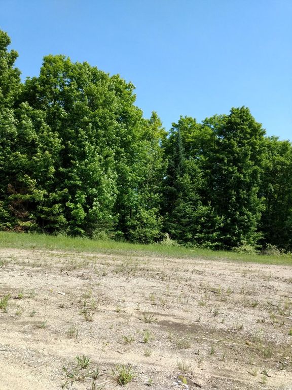Prime 250 Acres of Hunting Land for Sale in Atlanta, MI