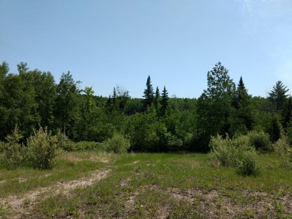 Prime 250 Acres of Hunting Land for Sale in Atlanta, MI