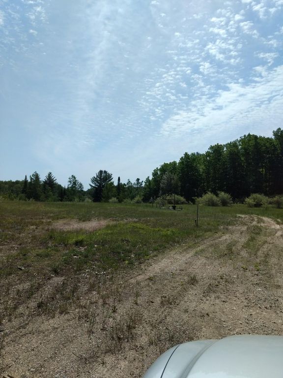 Prime 250 Acres of Hunting Land for Sale in Atlanta, MI