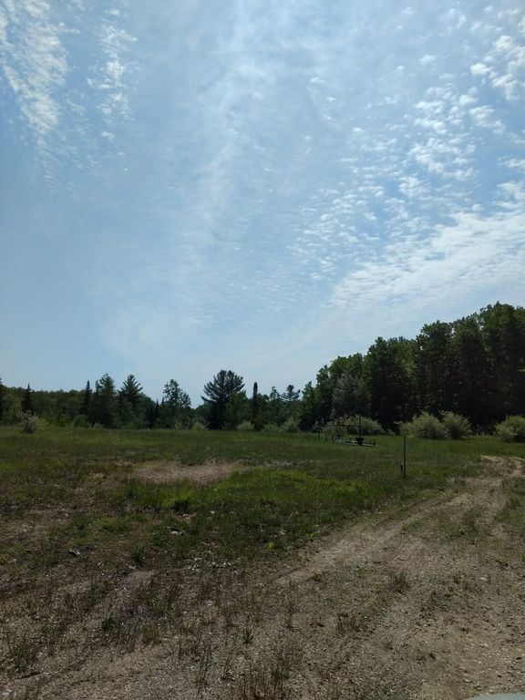 Prime 250 Acres of Hunting Land for Sale in Atlanta, MI